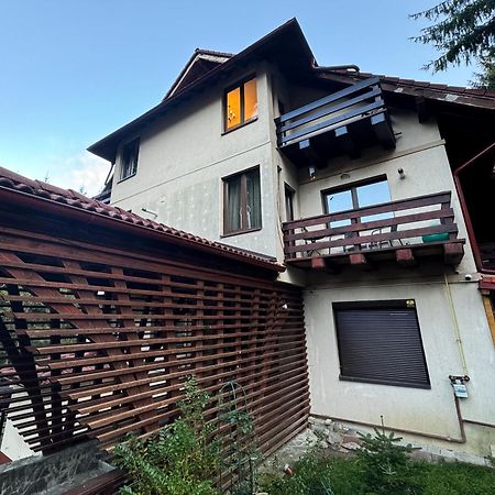 Impala Sinaia - Springbok Daire Dış mekan fotoğraf