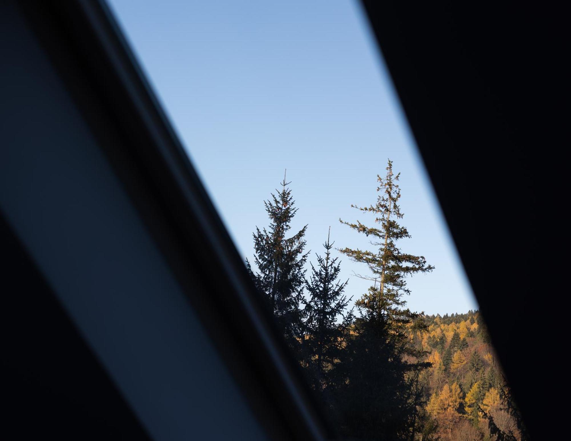 Impala Sinaia - Springbok Daire Dış mekan fotoğraf